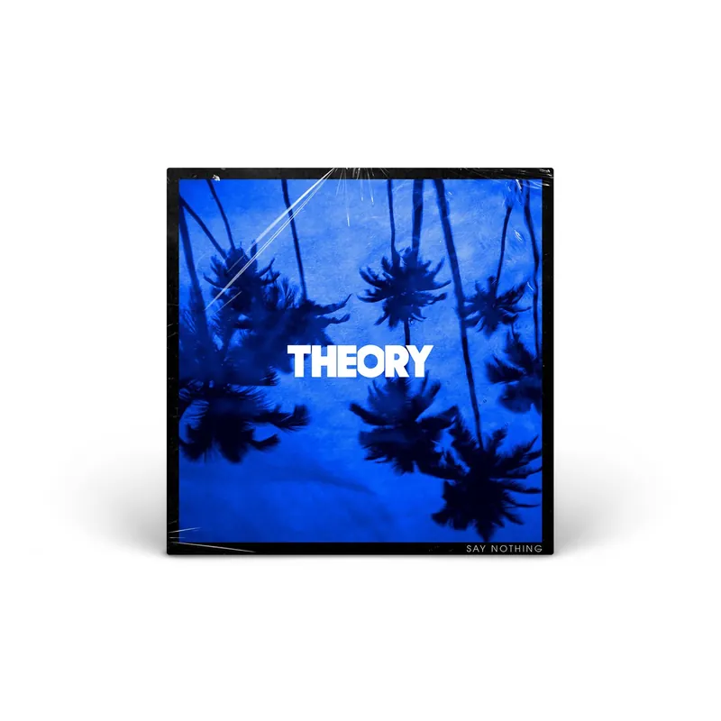 Top Pick Say Nothing vinyl LP