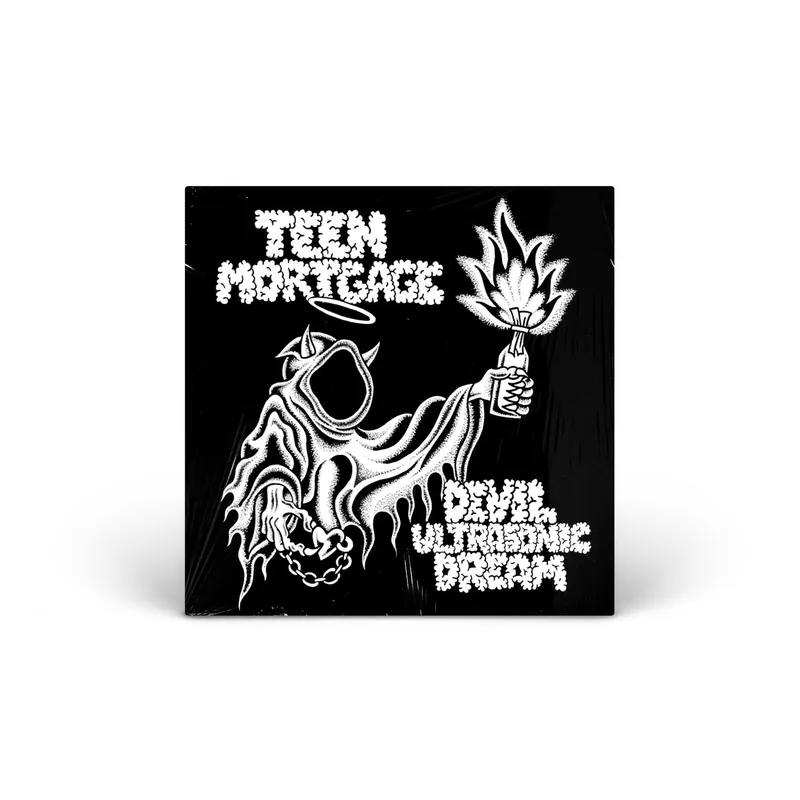 Devil Ultrasonic Dream vinyl LP Get Yours