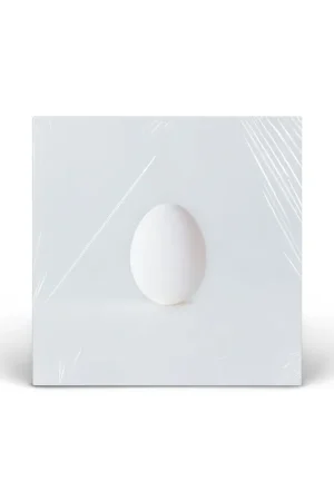A Ghost Is Born (Deluxe Edition) vinyl 13LP Secure Checkout
