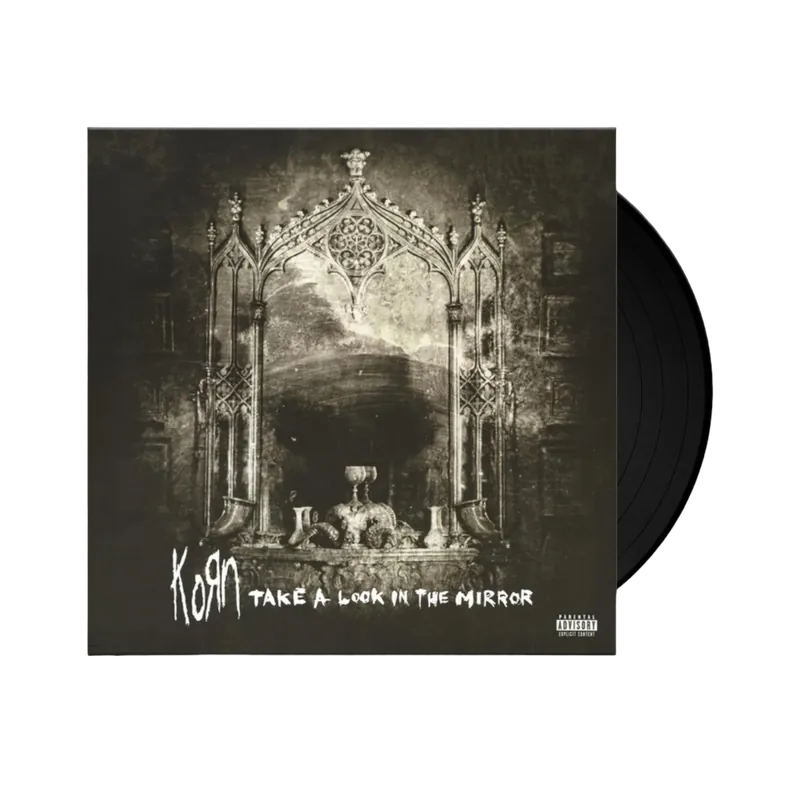 Secure Checkout Take A Look In The Mirror LP