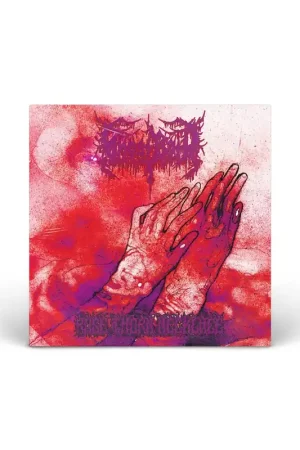 Rose Thorn Necklace (Red Swirl LP) vinyl LP Price Cut
