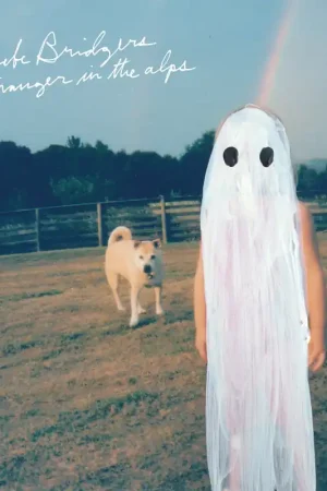 Crafted Phoebe Bridgers: Stranger In... (Vinyl LP) | Freebird Records