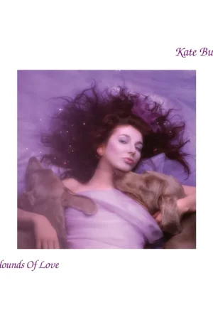 Kate Bush: Hounds Of Love (CD) | Freebird Records Bulk Order