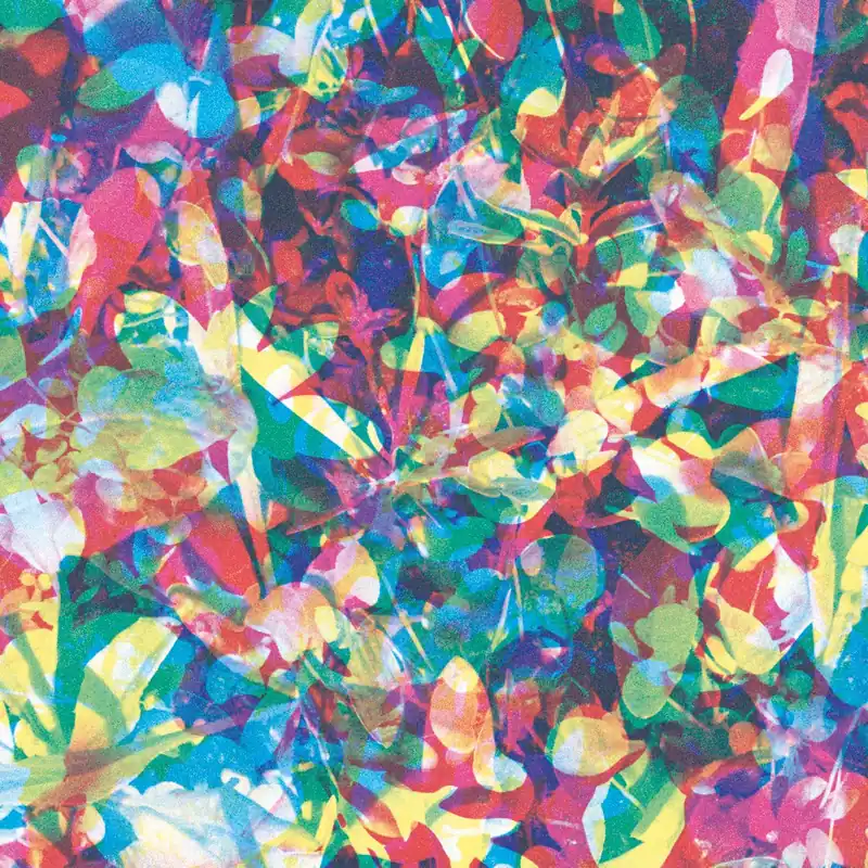 Caribou: Our Love (Vinyl LP) | Freebird Records Low Price