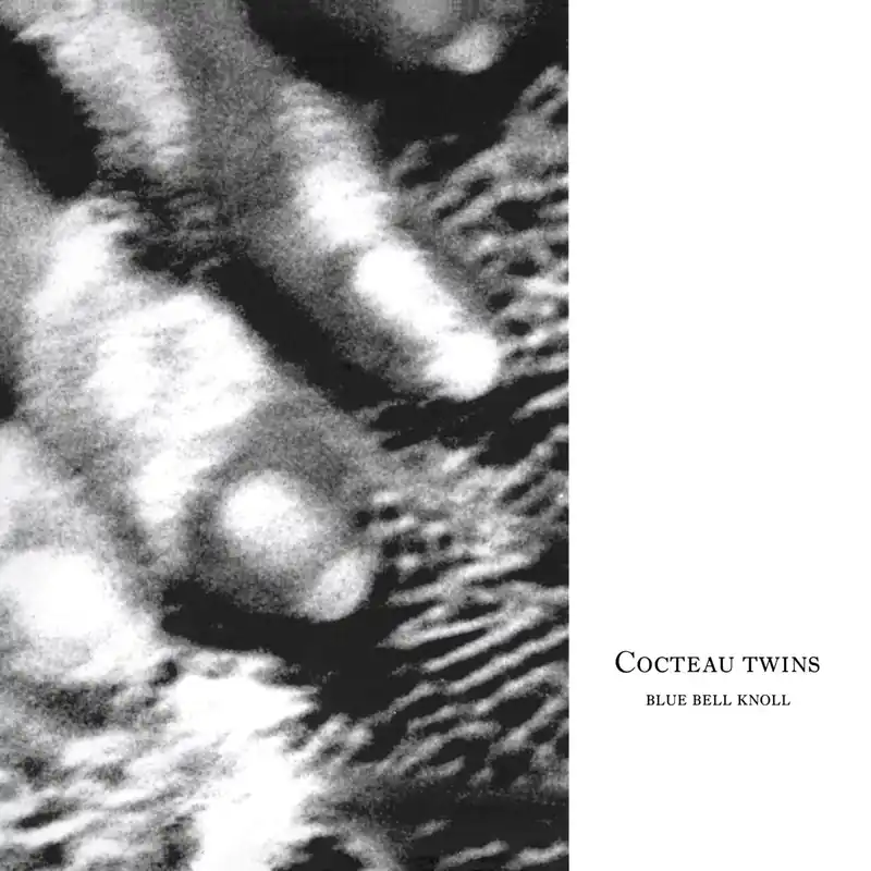 Cocteau Twins: Blue Bell Knoll (Vinyl LP) | Freebird Records Professional Grade