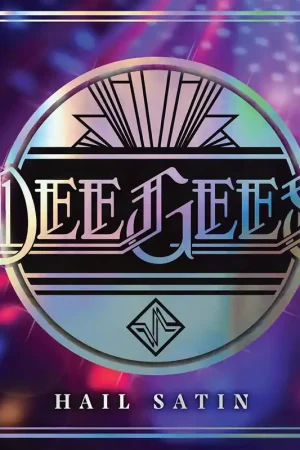 Final Sale Dee Gees / Foo Fighters: Hail Satin (Used Vinyl LP) | Freebird Records