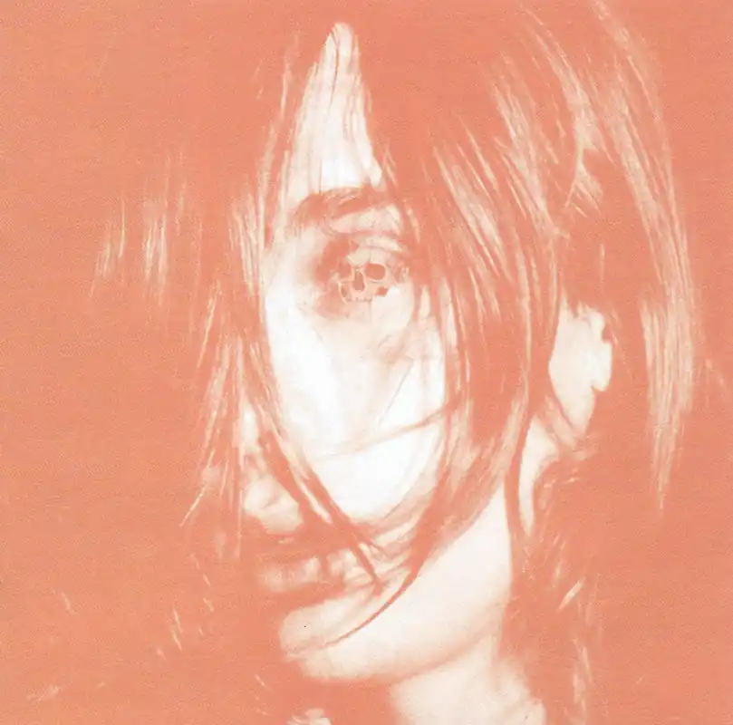 Deerhunter: Microcastle... (Vinyl 2xLP) | Freebird Records Hot Deal