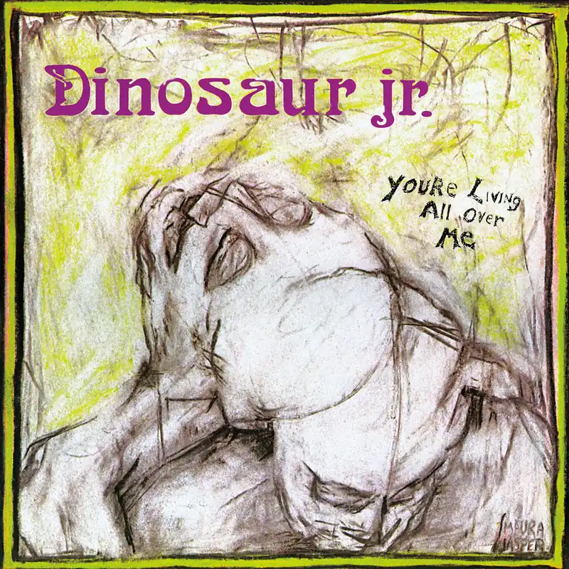 Dinosaur Jr.: You're Living All Over Me (CD) | Freebird Records Grab Now