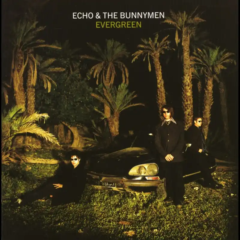 Factory Price Echo & The Bunnymen: Evergreen (Coloured Vinyl LP) | Freebird Records