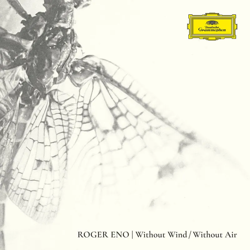Save Now Roger Eno: Without Wind / Without Air (Vinyl LP) | Freebird Records