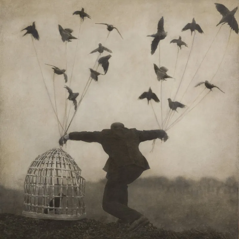 The Gloaming: 2 (Vinyl 2xLP) | Freebird Records Deal