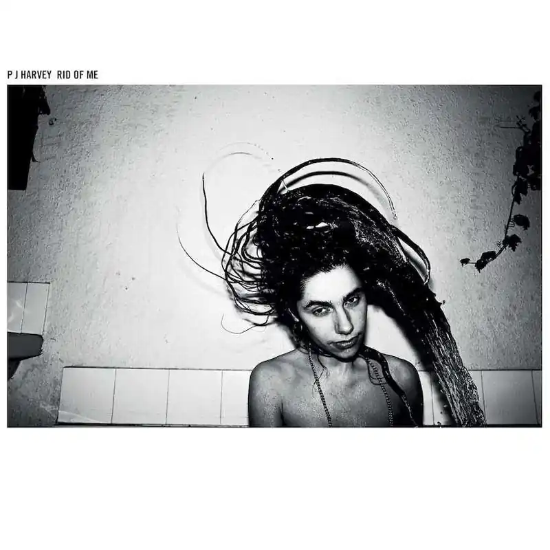 Warranty Included PJ Harvey: Rid Of Me (Vinyl LP) | Freebird Records