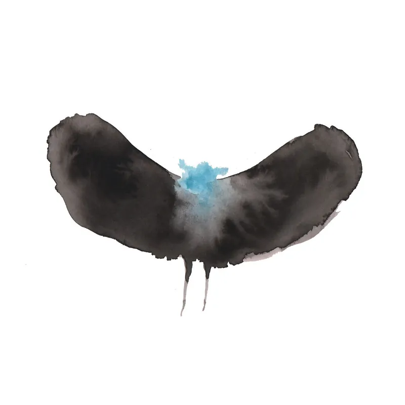 While Supplies Last HAYWARDxDÄLEK: HAYWARDxDÄLEK (CD) | Freebird Records