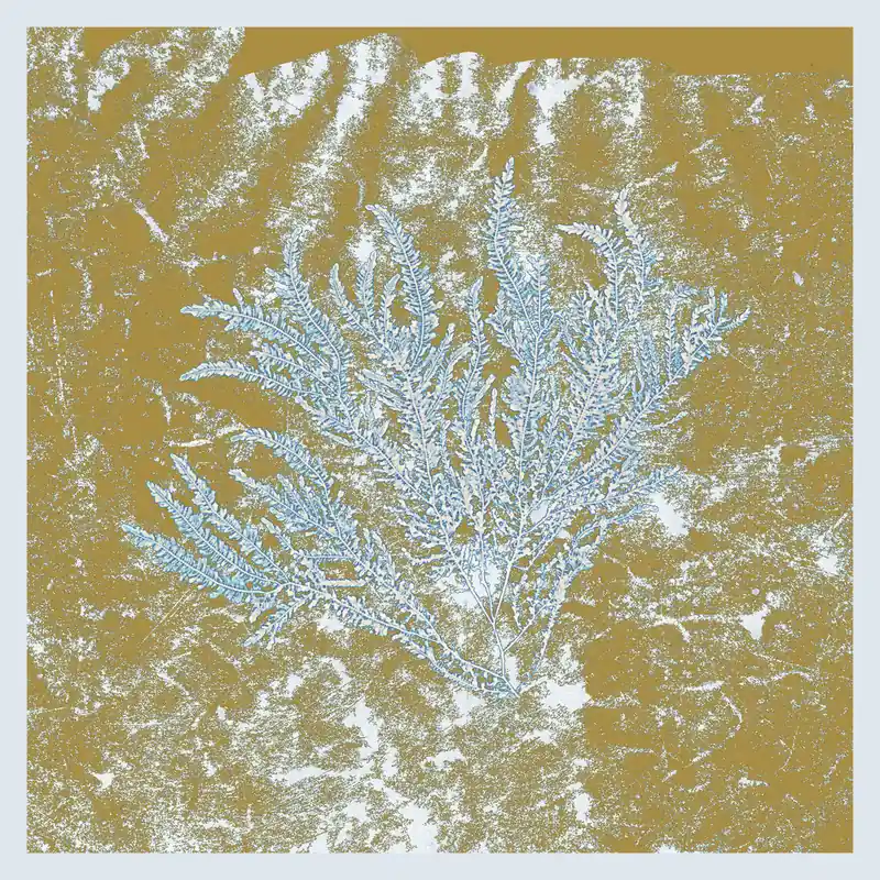Huerco S.: For Those Of You... (Vinyl 2xLP) | Freebird Records Time-Limited