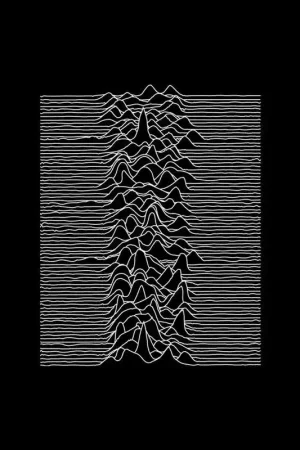 Joy Division: Unknown Pleasures (Vinyl LP) | Freebird Records Free Returns