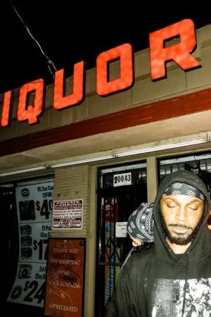 Professional Grade JPEGMAFIA: LP! (Coloured Vinyl 2xLP) | Freebird Records