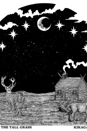 Wholesale Kikagaku Moyo: House In The Tall Grass (Vinyl LP) | Freebird Records