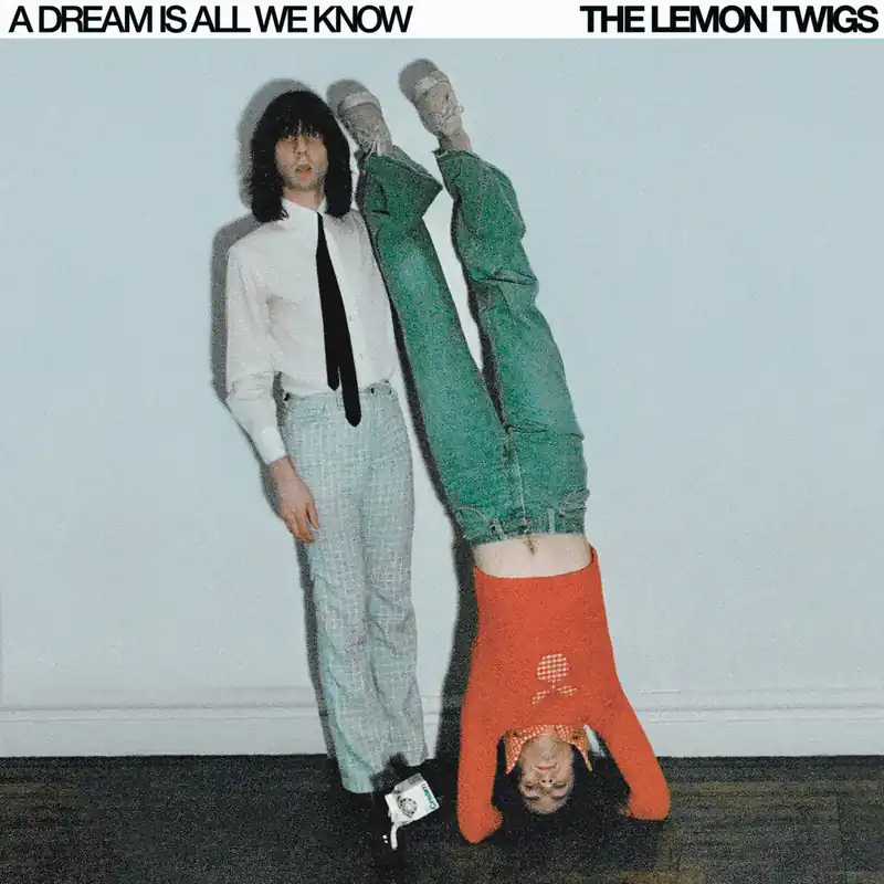 Lemon Twigs: A Dream Is All... (Vinyl LP) | Freebird Records Top Pick