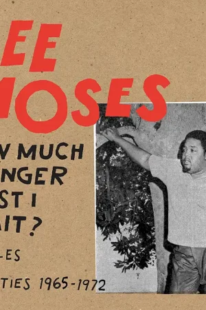 Lee Moses: How Much Longer... (Vinyl LP) | Freebird Records Holiday Sale