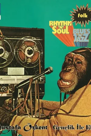 Crafted Mustafa Özkent Ve Orkestrası: Gençlik İle Elele (Vinyl LP) | Freebird Records
