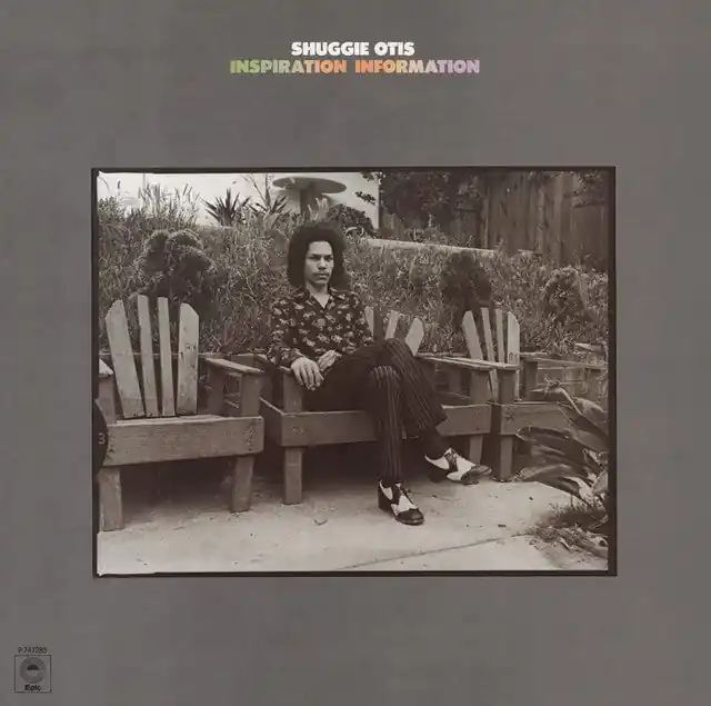 Shuggie Otis: Inspiration Information (Vinyl LP) | Freebird Records Super Sale