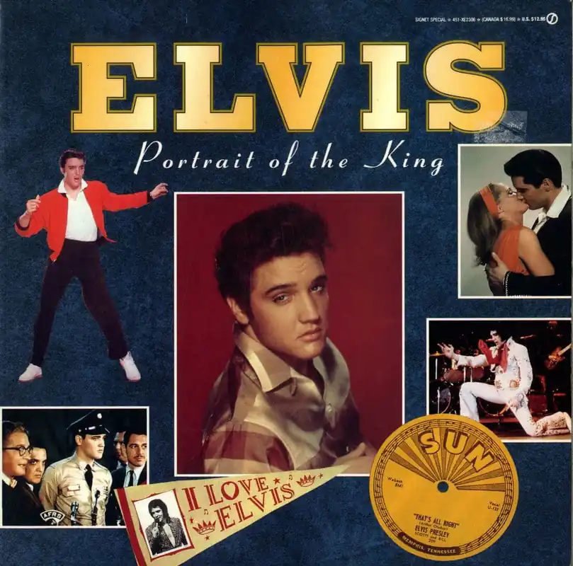 Hassle-Free Returns Elvis Presley - Portrait Of The King by Susan Doll