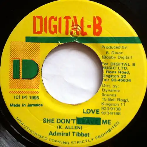 Top Pick ReggaeCollector.com - Admiral Tibet - She Don't Love Me (Digital-B JM)