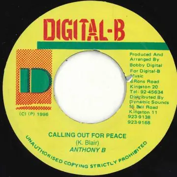 Limited Offer ReggaeCollector.com - Anthony B - Calling Out For Peace (Digital B)