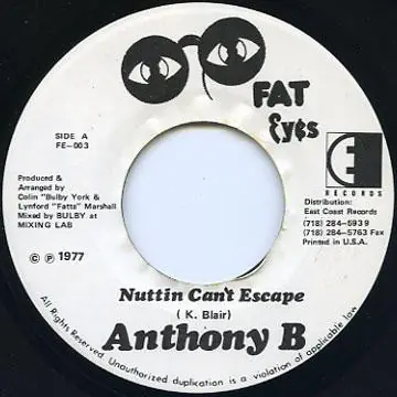 ReggaeCollector.com - Anthony B - Nuttin Can't Escape (Fat Eyes Records JM) Don’t Miss Out