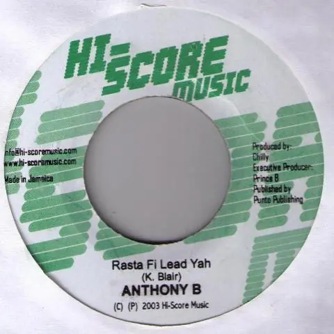 Seasonal Sale ReggaeCollector.com - Anthony B / Leafnuts - Rasta Fi Lead Yah / Up Yah (Hi-Score Music SE)