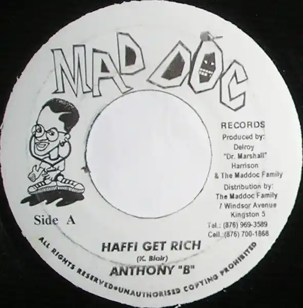 ReggaeCollector.com - Anthony B / Maddoc Family - Haffi Get Rich / Untitled (Mad Doc Records JM) Free Shipping