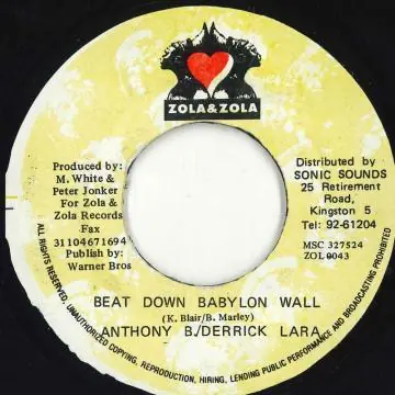 Warranty Included ReggaeCollector.com - Anthony B, Derrick Lara - Beat Down Babylon Wall (Zola & Zola)