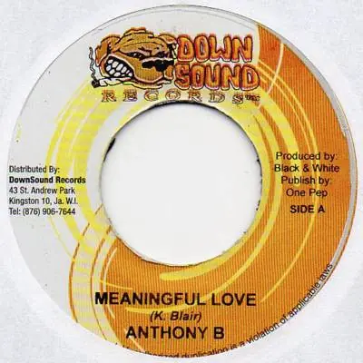 ReggaeCollector.com - Anthony B, Floyd West - Meaningful Love / These Days (Down Sound Records JM) Premium