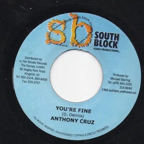 ReggaeCollector.com - Anthony Cruz / Hawkeye - You're Fine / No Noise Please (South Block JM) Professional Grade