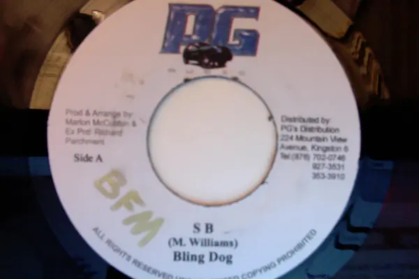 ReggaeCollector.com - Bling Dawg / Chuck Fender - S B / Meditation (PG Music JM) Time-Limited