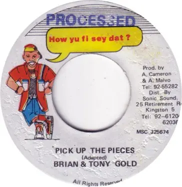 ReggaeCollector.com - Brian & Tony Gold - Pick Up The Pieces (How Yu Fi Sey Dat ? JM) Worldwide Shipping