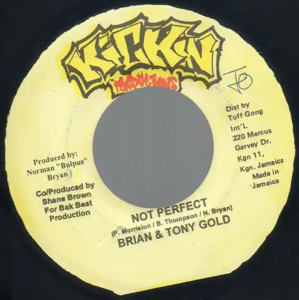 ReggaeCollector.com - Brian & Tony Gold - Not Perfect (Kickin Productions JM) While Supplies Last