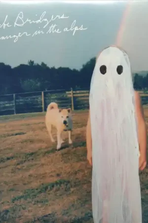 Buy Phoebe Bridgers : Stranger In The Alps (LP, Album, RE) Online for a great price Affordable