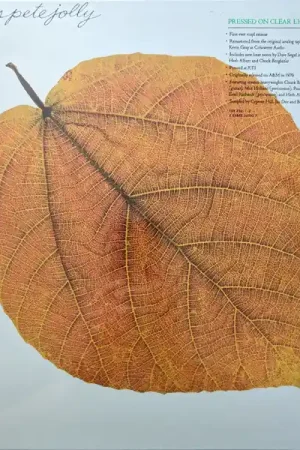 Buy Pete Jolly : Seasons (LP, Album, Ltd, RE, RM, Gre) Online for a great price Crafted