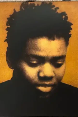 One Day Deal Buy Tracy Chapman : Tracy Chapman (LP, Album, RE, 35t) Online for a great price