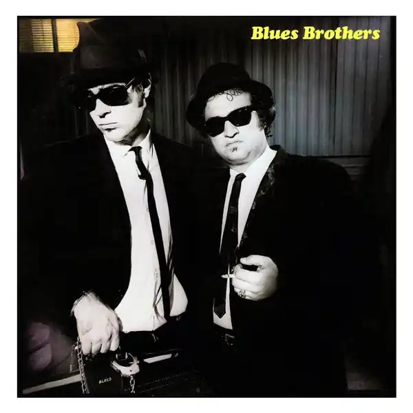 Buy Blues Brothers* : Briefcase Full Of Blues (LP, Album, MO) Online for a great price Factory Price