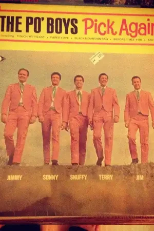 Clearance Buy Po' Boys : The Po' Boys Pick Again (LP, Mono) Online for a great price