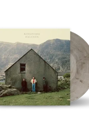 HALCYON - STONE VINYL (WEBSTORE EXCLUSIVE) | Kingfishr Same Day Shipping