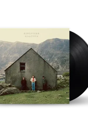 HALCYON - BLACK VINYL | Kingfishr Best Price