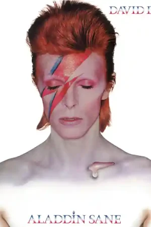 Aladdin Sane (2013 Remaster) CD | David Bowie Secure Checkout