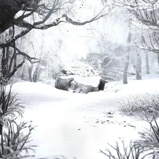 Exclusive SZNZ: Winter Black LP | Weezer