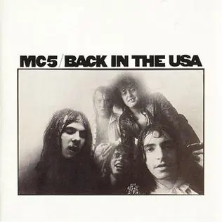 Get Yours Back In The USA LP (Clear) | MC5