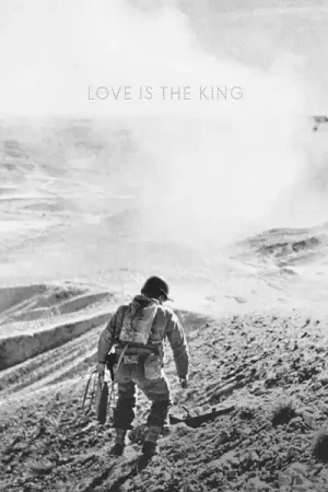 Best Choice Love Is The King (Vinyl) | Jeff Tweedy