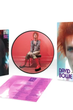 Trusted Brand Space Oddity (Limited Edition 1972 Picture Disc) | David Bowie