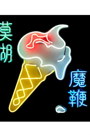 The Magic Whip (CD) | Blur Premium